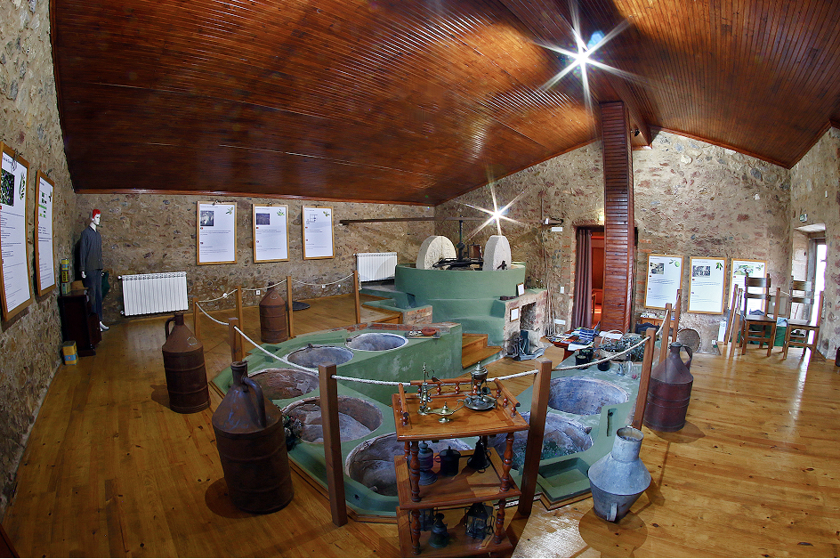 museu azeite